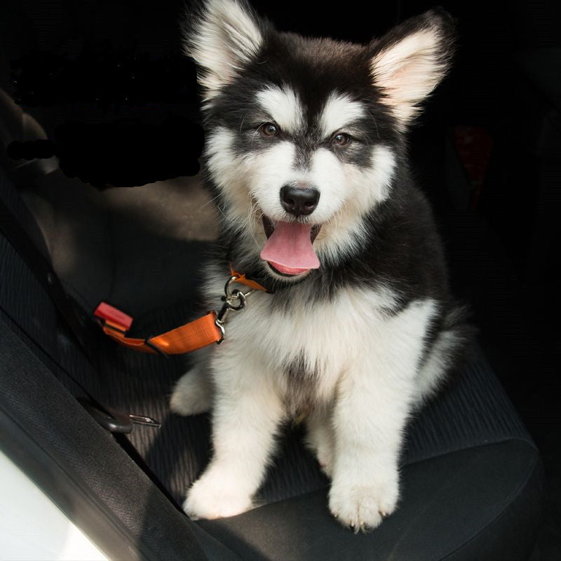 Adjustable Reflective Dog Car Seat Belt Safety Leash