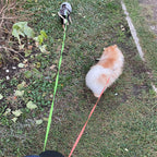 Retractable Dual Dog Leash with Reflective & LED Light Design