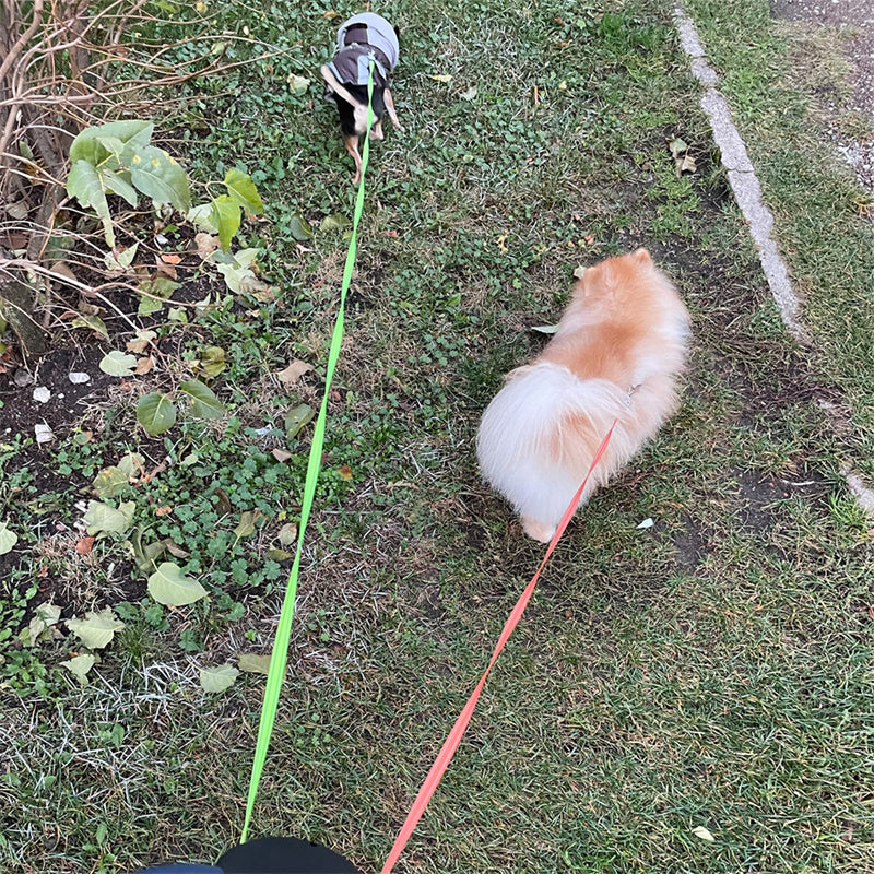 Retractable Dual Dog Leash with Reflective & LED Light Design
