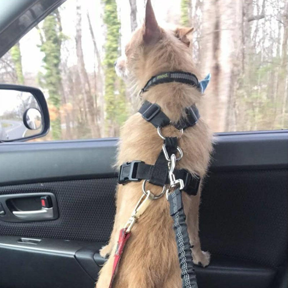 Adjustable Reflective Dog Car Seat Belt Safety Leash