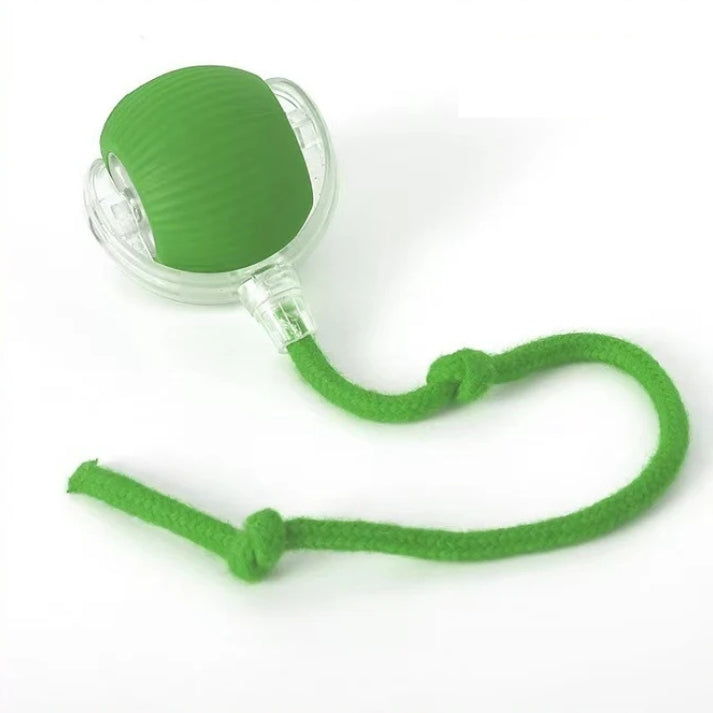 Interactive Smart Pet Toy Ball for Cats & Dogs