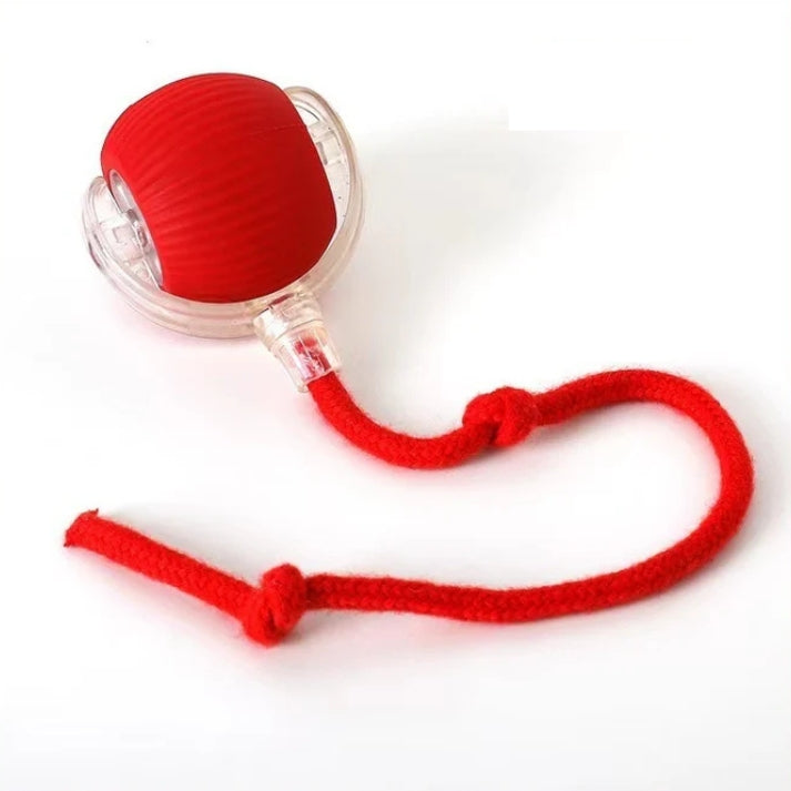 Interactive Smart Pet Toy Ball for Cats & Dogs